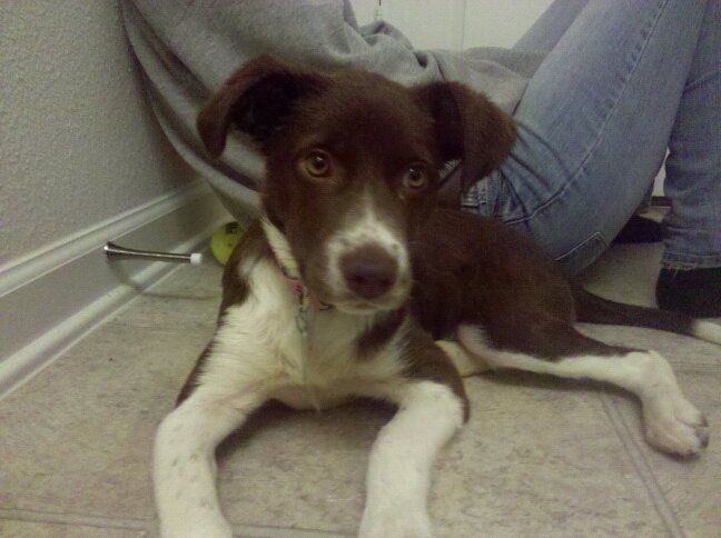 NWR: Fur Babies!