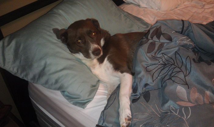 NWR: Fur Babies!