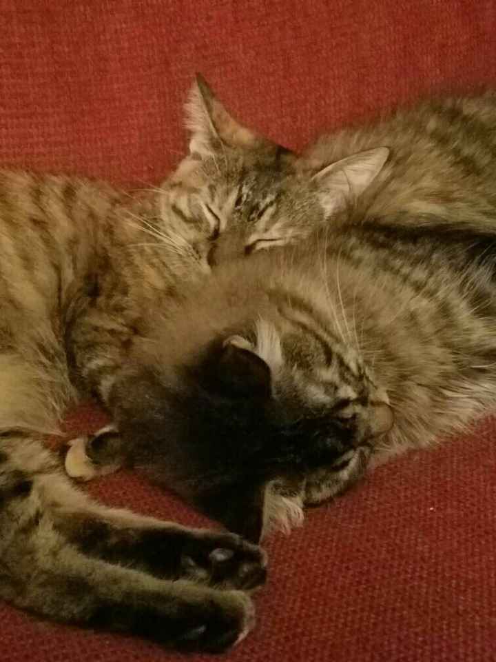 NWR:. Just wanted to share the Sunshine. Caution:Extreme cuteness enclosed.