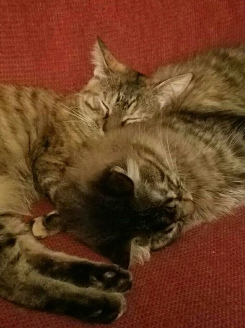NWR:. Just wanted to share the Sunshine. Caution:Extreme cuteness enclosed.
