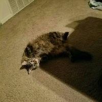 NWR: I didn't get the promotion