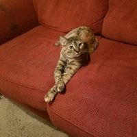 NWR: I didn't get the promotion