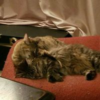 NWR: How could you even consider it?