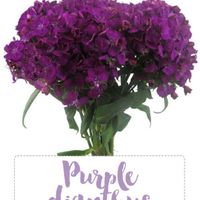 Couples getting married on October 31, 2020 - 1