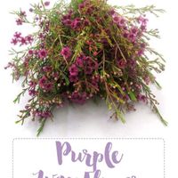 Couples getting married on October 31, 2020 - 2