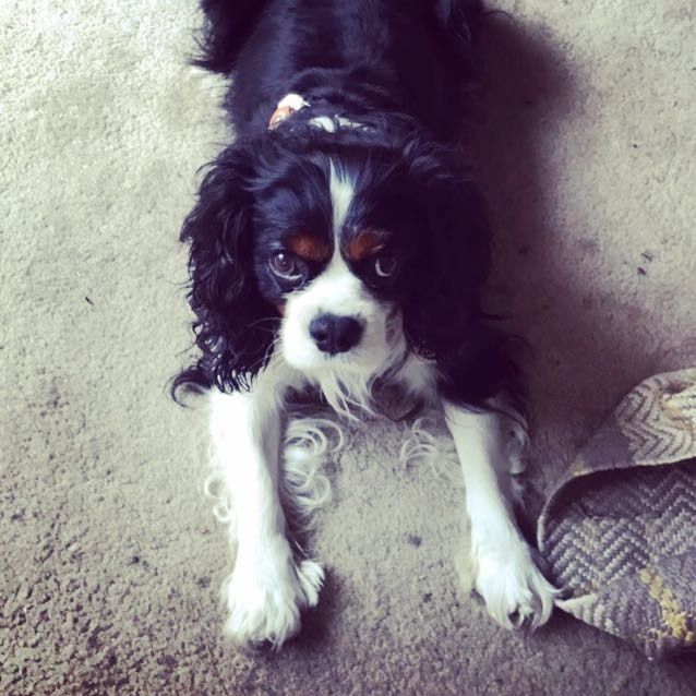 NWR: Show me your pups!
