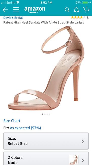  Bridesmaid shoe help - 2