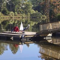 Holy Freaking Exciting!!!