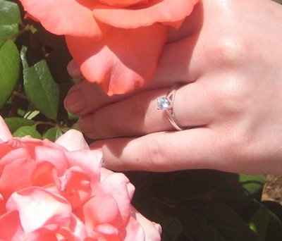 23 small diamonds, and one bigger diamond... I LOVE IT. Lets see some rings my fellow brides.