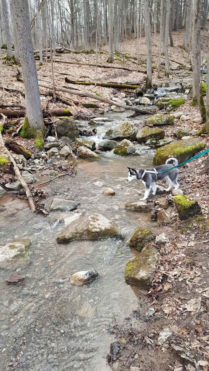 So fh and I went to the venue today.