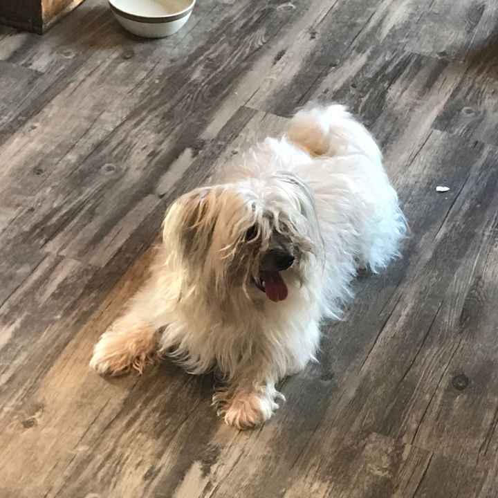 Nwr- show me your fur babies