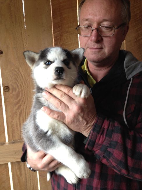 Nwr i get my puppy on Saturday