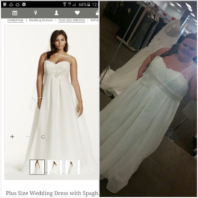 Any plus size brides think they rock their dress better than the model?