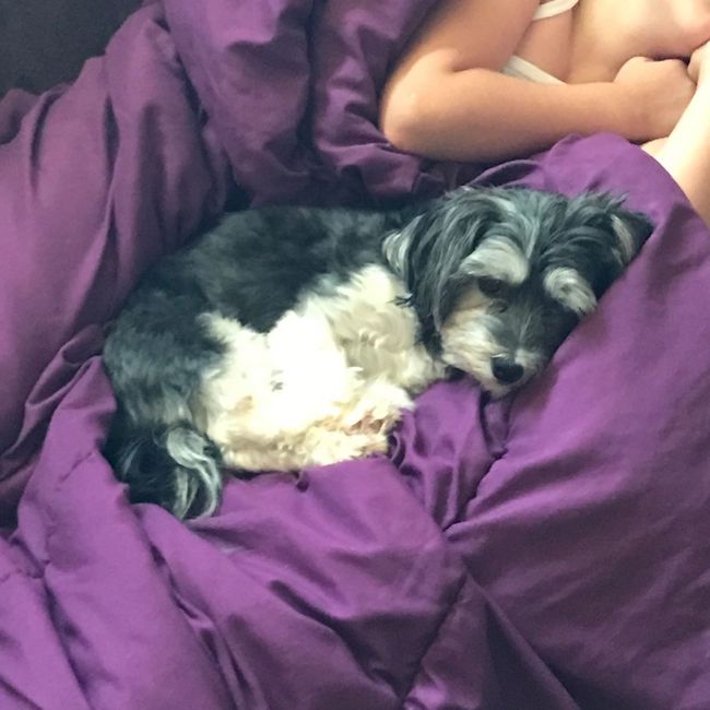 Nwr- show me your fur babies
