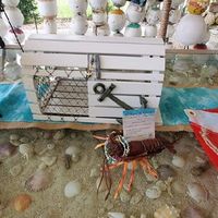 Pictures from the best day of my life - 2