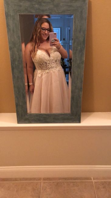 Plus Size Brides! Dress shopping experiences 6