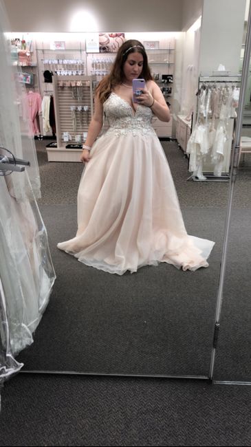 Plus Size Brides! Dress shopping experiences 11