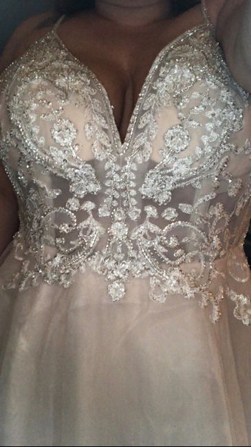 Plus Size Brides! Dress shopping experiences 12