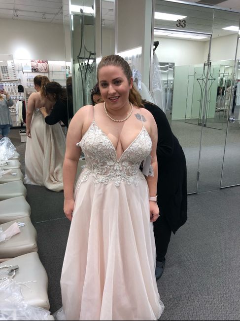 Plus Size Brides! Dress shopping experiences 13