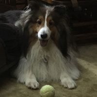 NWR: Silly pictures of your pets