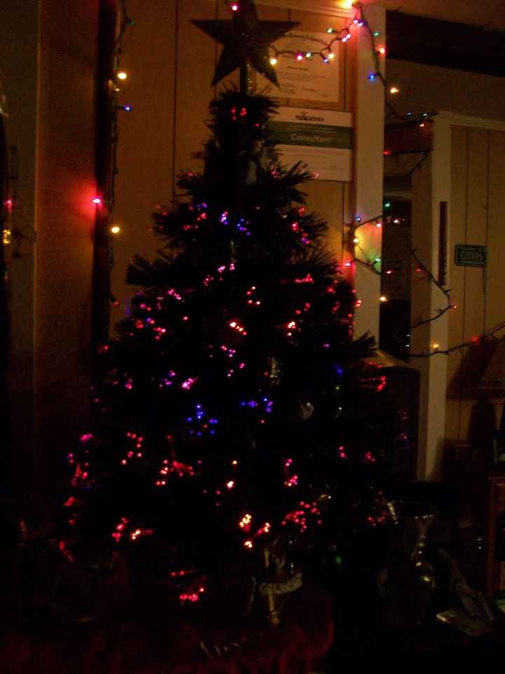 NWR - Alright, who's got their tree up?!