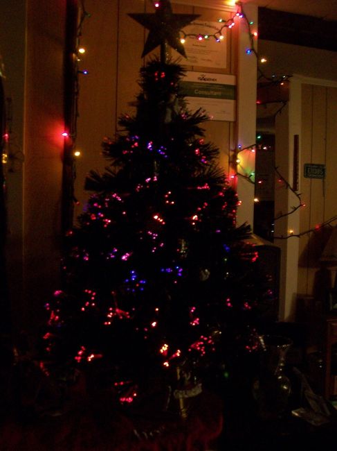 NWR: Second Annual Gamecock Christmas Tree!