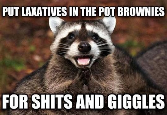 Do you need a good laugh?