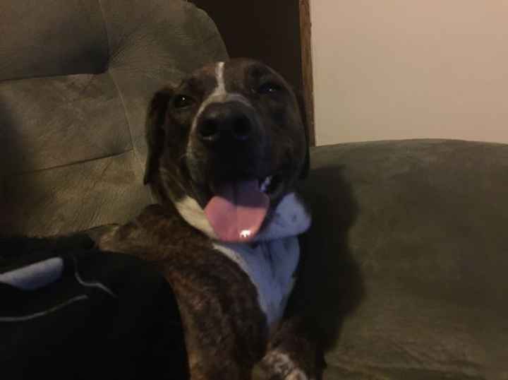 NWR: post pics of your pets!!
