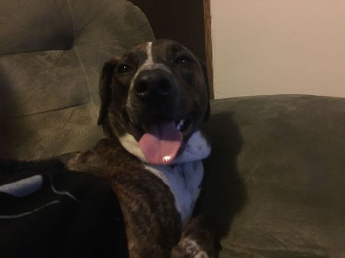 NWR: post pics of your pets!!