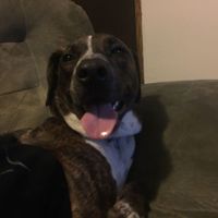 NWR: post pics of your pets!!