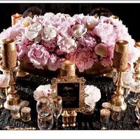 All my black and white/ivory Brides