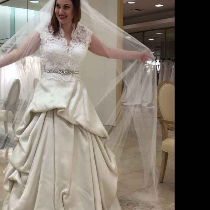 Opinions on the dress/veil ect - 2