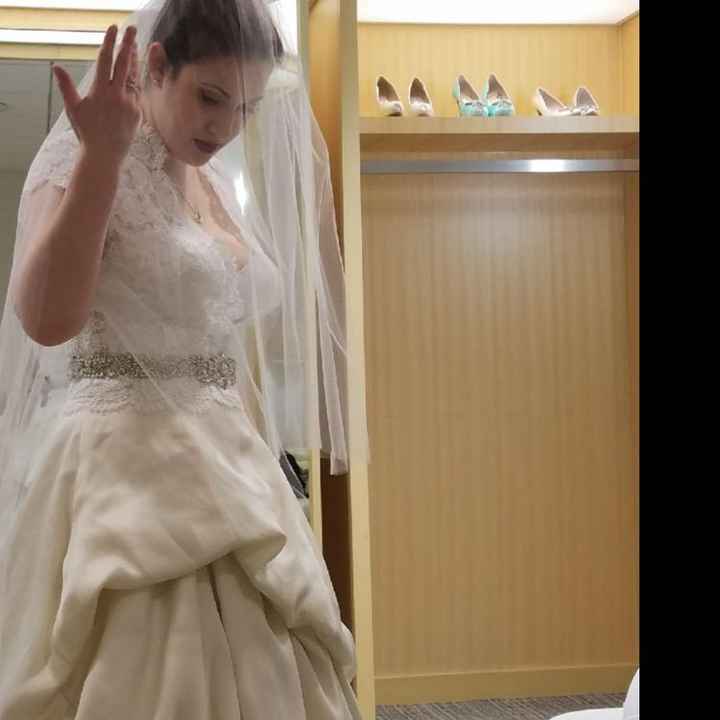 Opinions on the dress/veil ect - 3