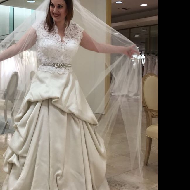 Opinions on the dress/veil ect - 2