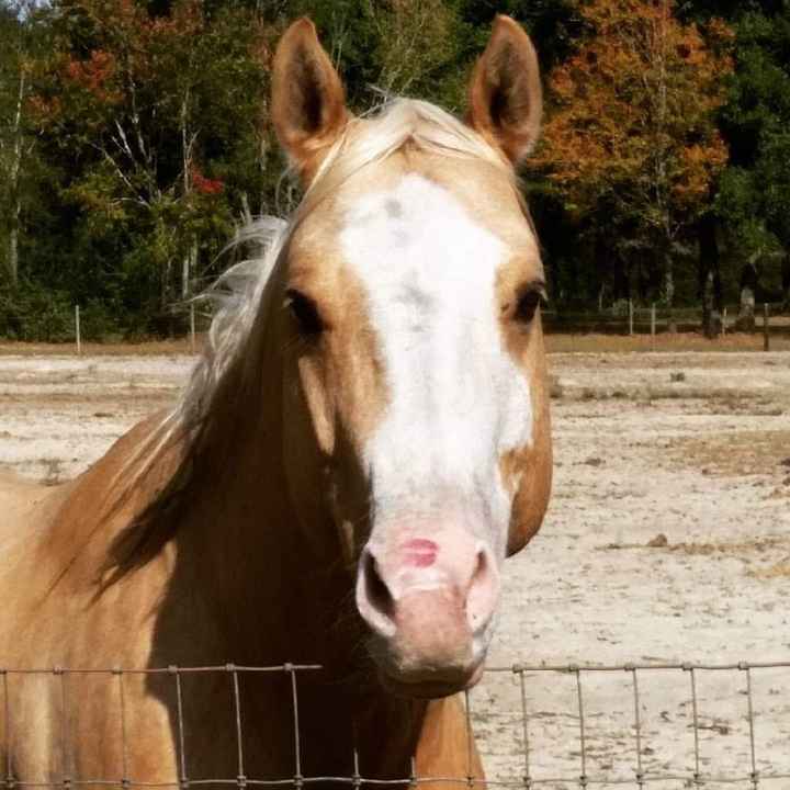 More Engagement Photo Drama - 1