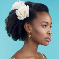Hairstyles for Natural Hair Sistas for Wedding Day