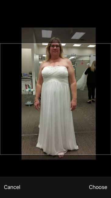 Davids Bridal Dresses!