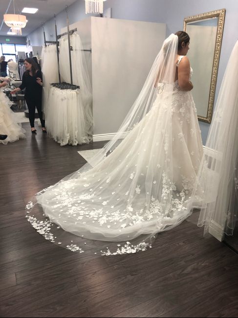 Let me see your dresses! 7