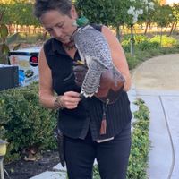 The falconer and our ring bearer.