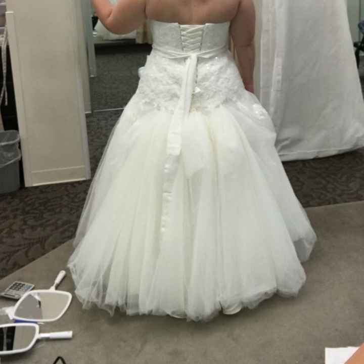 Bustled Tulle? - 1