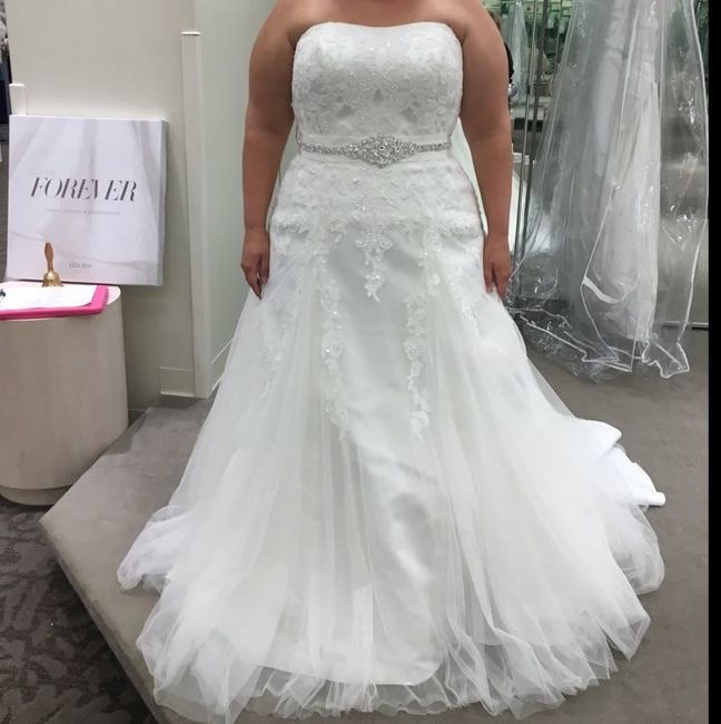 Plus Size Lace or Tulle Wedding Dresses -- show me yours?