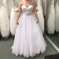 Where to buy Petticoat