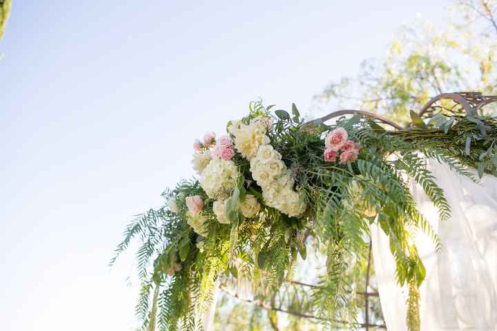 PRO-BAM PHOTOS ARE IN!!!!!!!!!!!!!