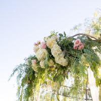 PRO-BAM PHOTOS ARE IN!!!!!!!!!!!!!