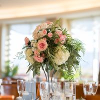 PRO-BAM PHOTOS ARE IN!!!!!!!!!!!!!