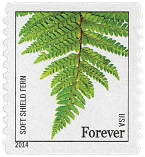 Stamps for invites/rsvp