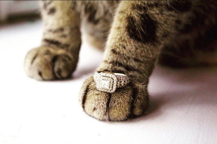 Rings💍💍💍 13