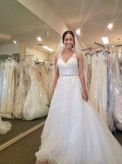 Wedding Dress Budget 11