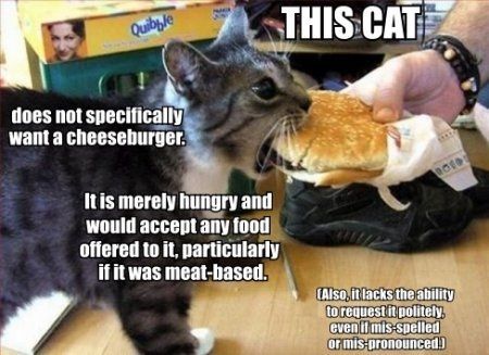Awesomest thing...ever!!