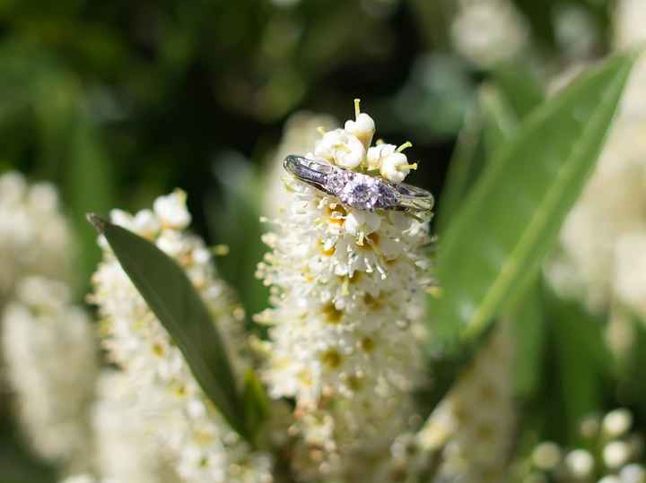 Post Your Engagement Rings!
